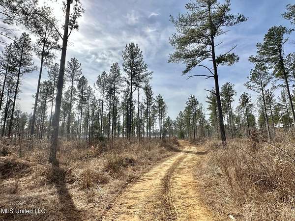 62 Acres of Recreational Land for Sale in Terry, Mississippi