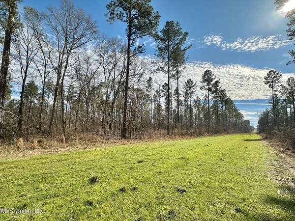 465 Acres of Recreational Land for Sale in Terry, Mississippi