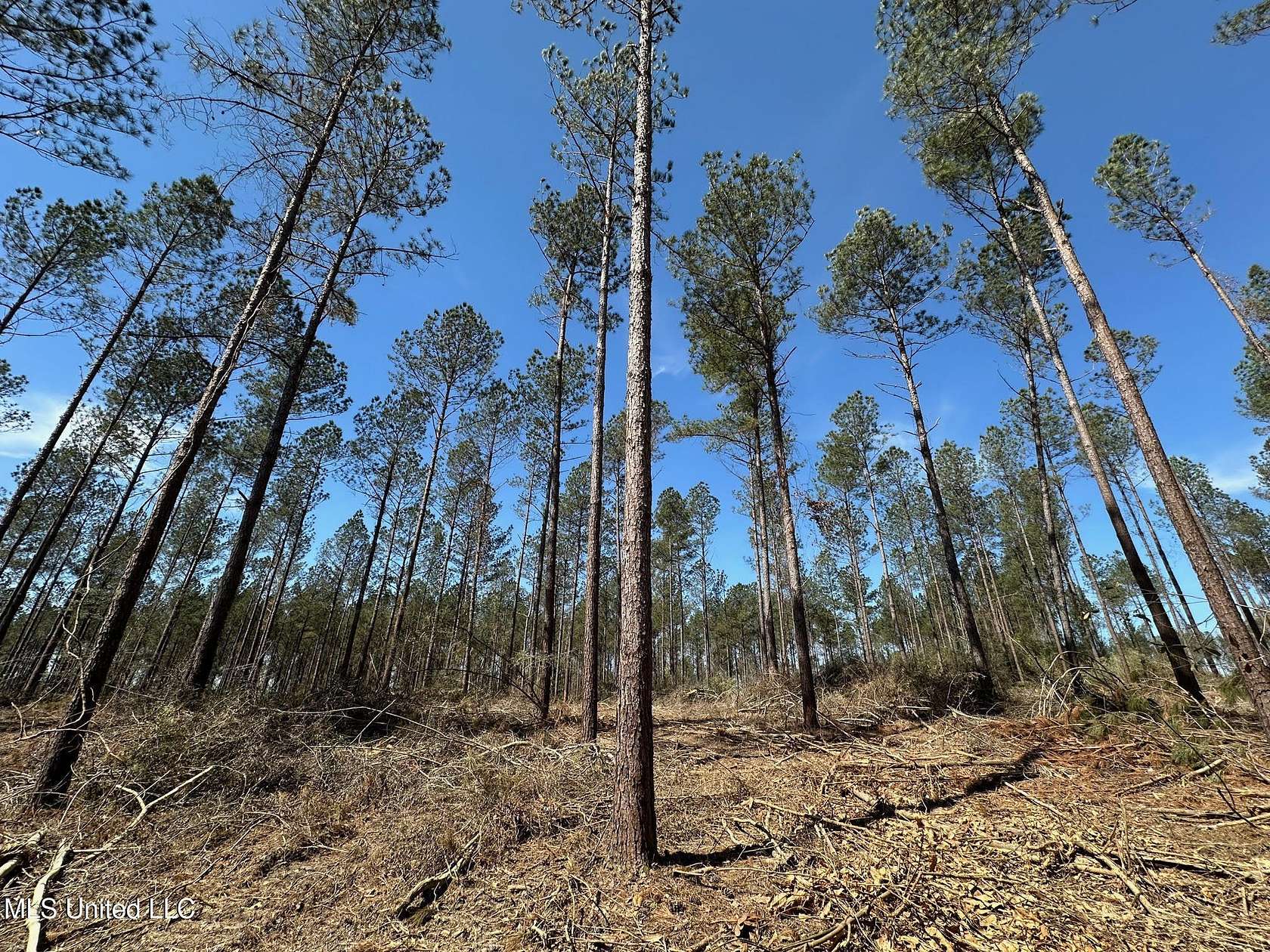 23 Acres of Recreational & Residential Land for Sale in New Hebron, Mississippi
