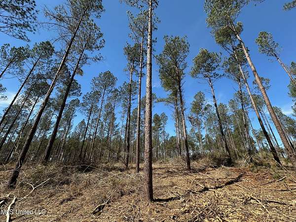 23 Acres of Recreational & Residential Land for Sale in New Hebron, Mississippi