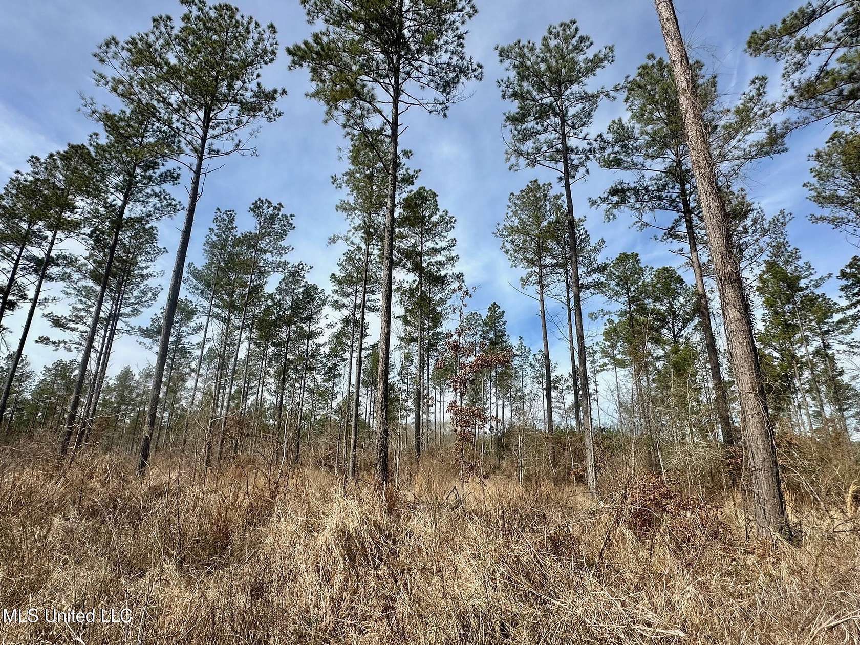 73 Acres of Recreational Land for Sale in Terry, Mississippi