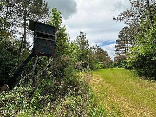 158 Acres of Recreational Land for Sale in West, Mississippi