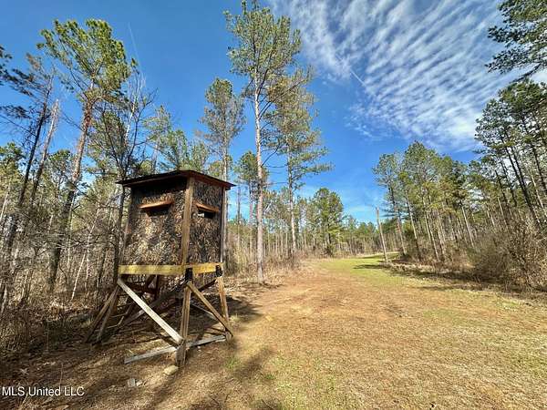 185 Acres of Recreational Land for Sale in Terry, Mississippi