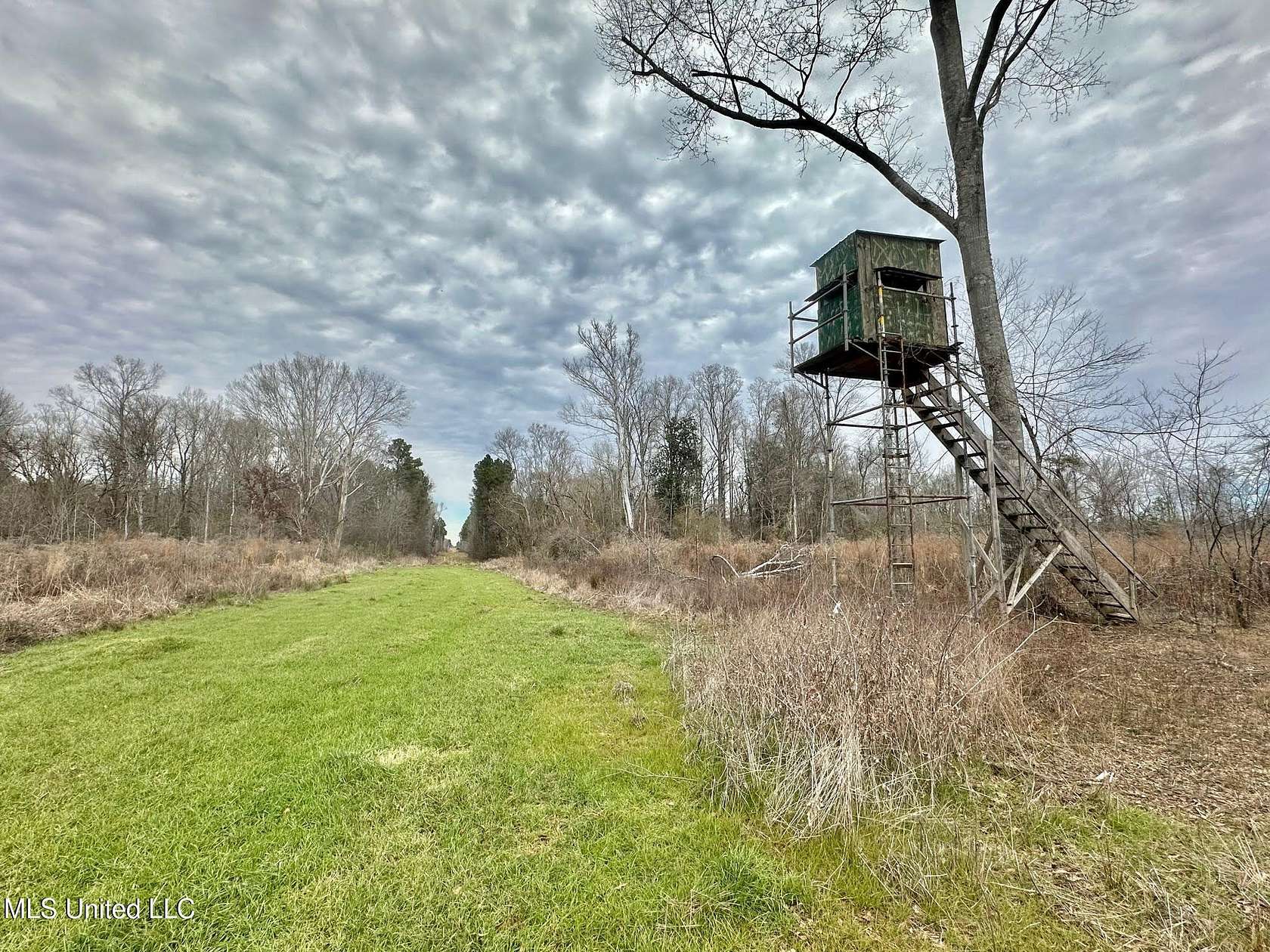 255 Acres of Recreational Land for Sale in Terry, Mississippi