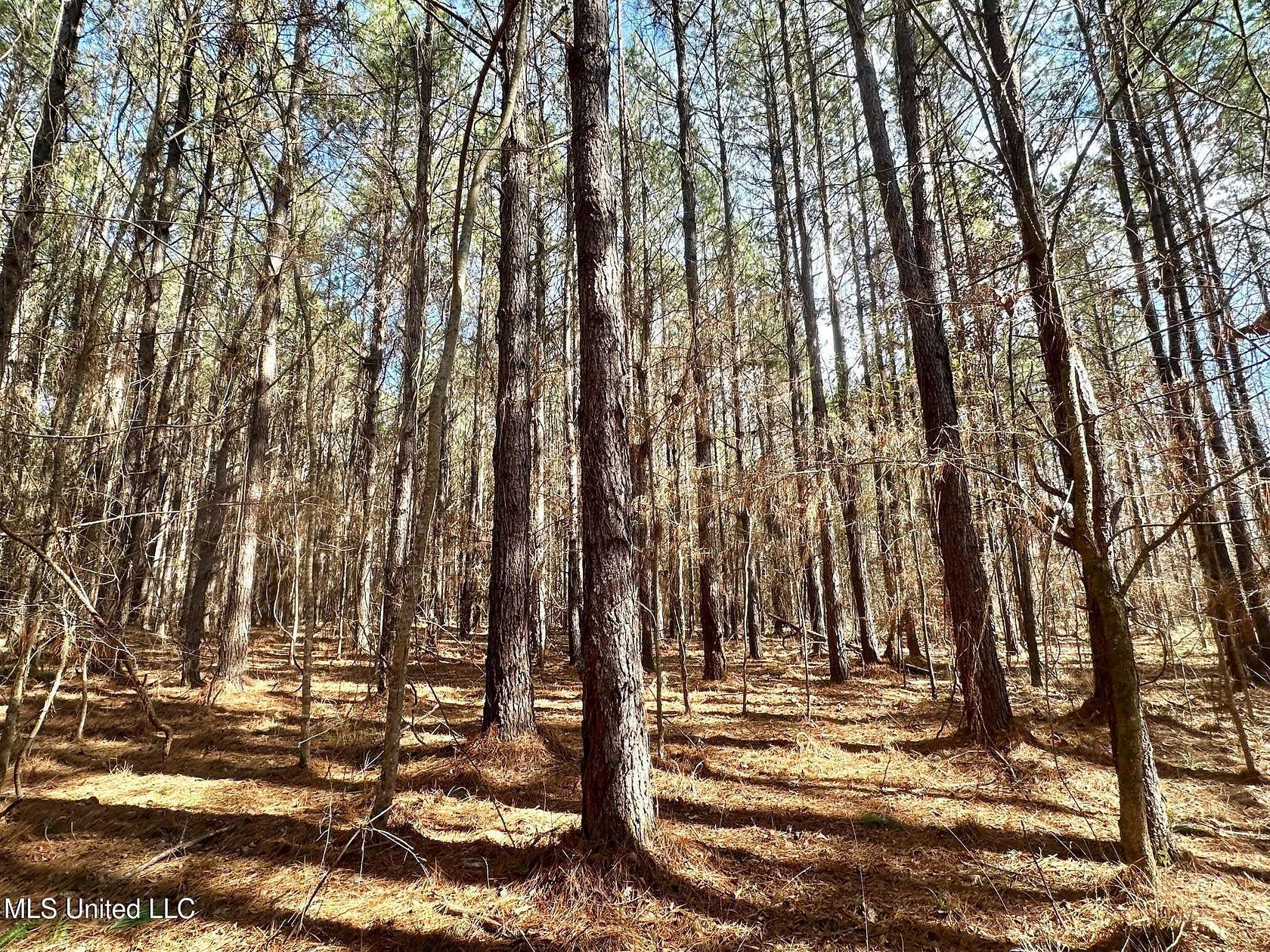81 Acres of Recreational Land for Sale in Terry, Mississippi