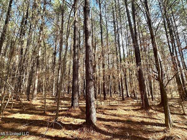 81 Acres of Recreational Land for Sale in Terry, Mississippi