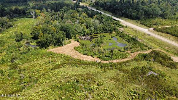 37 Acres of Recreational Land for Sale in Walnut Grove, Mississippi