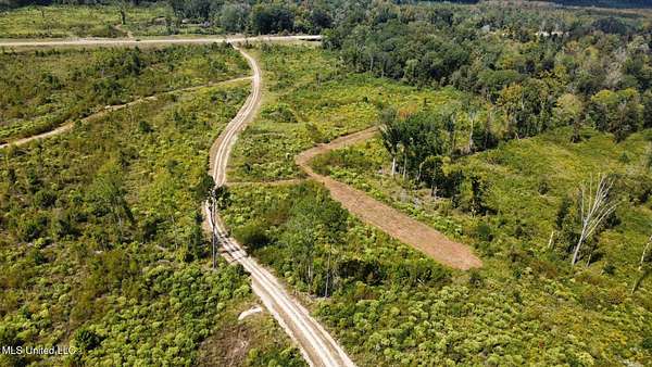 309 Acres of Recreational Land for Sale in Forest, Mississippi