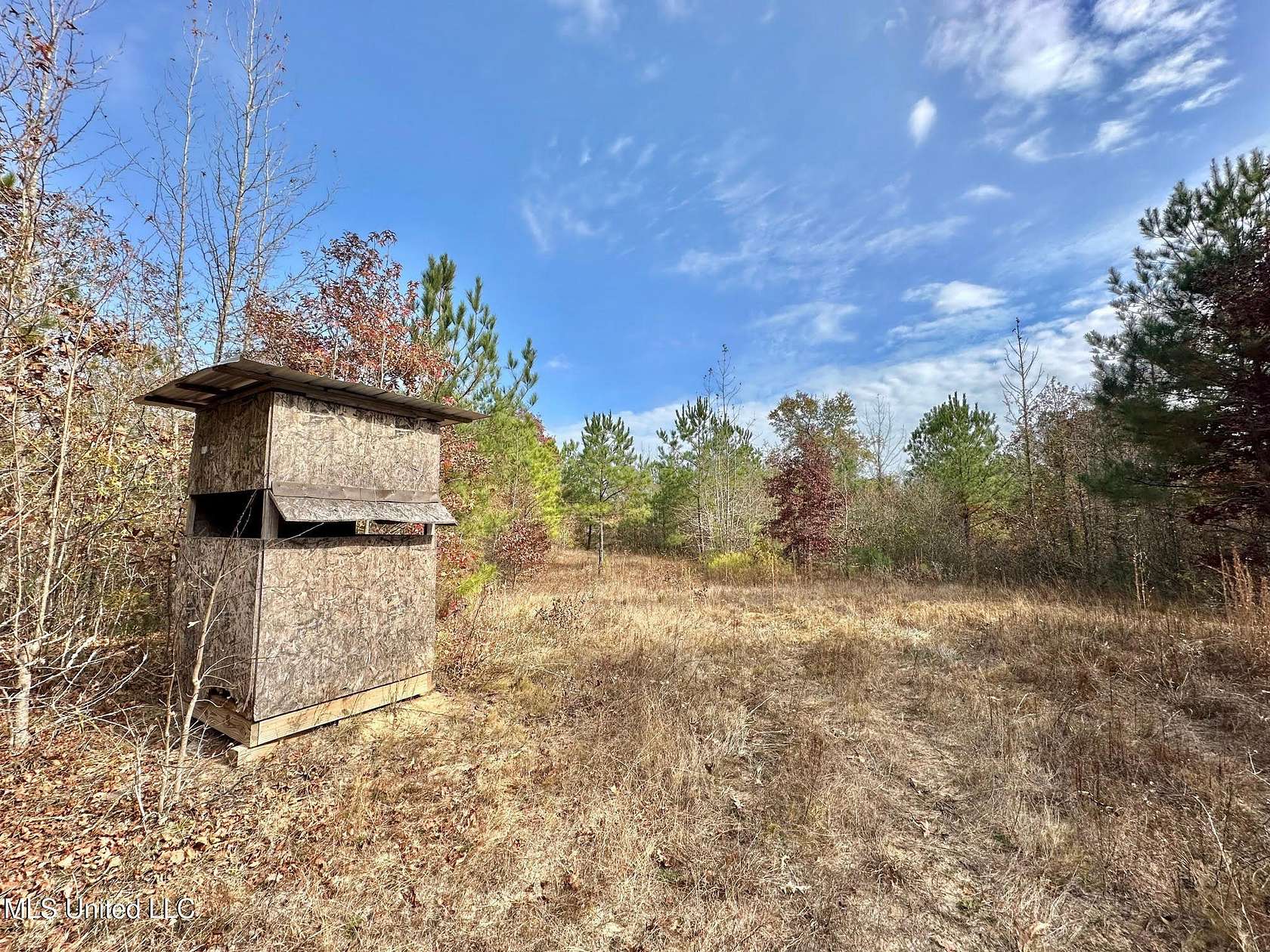 101 Acres of Recreational Land for Sale in McCool, Mississippi