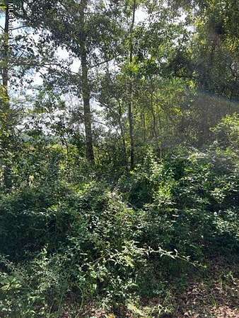 1.22 Acres of Residential Land for Sale in Gautier, Mississippi