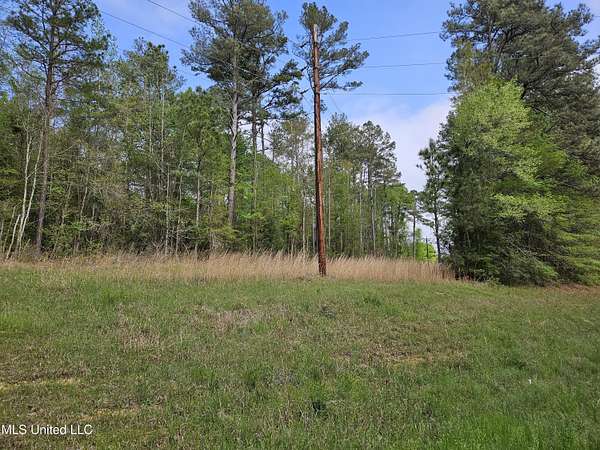 642 Acres of Land for Sale in Silver Creek, Mississippi