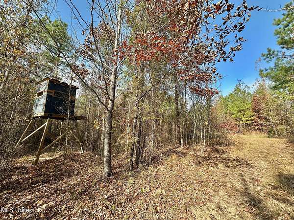33 Acres of Recreational Land for Sale in McCool, Mississippi