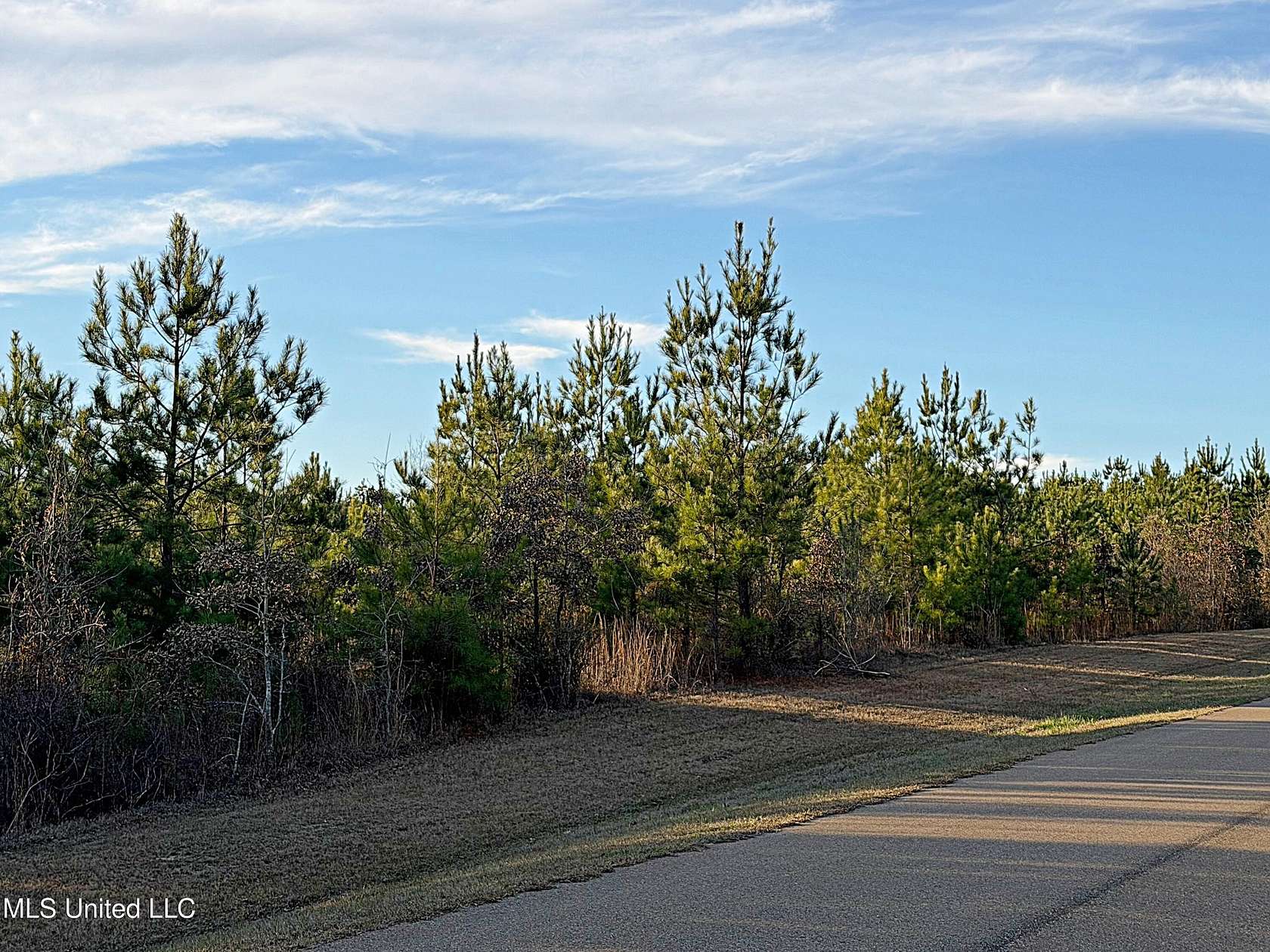 5.2 Acres of Residential Land for Sale in Carthage, Mississippi