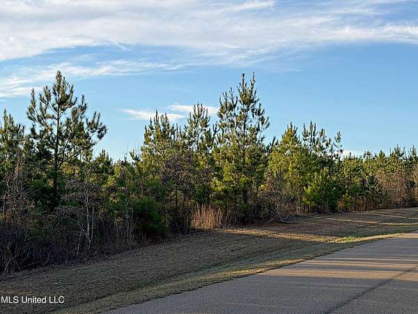 5.2 Acres of Residential Land for Sale in Carthage, Mississippi