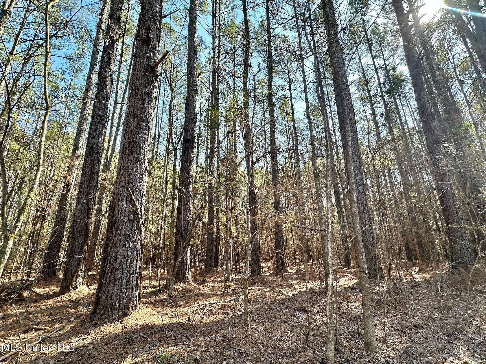 68 Acres of Recreational Land for Sale in Carthage, Mississippi