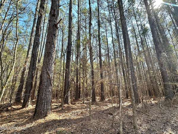 68 Acres of Recreational Land for Sale in Carthage, Mississippi