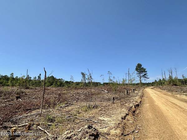 68 Acres of Recreational Land for Sale in Carthage, Mississippi