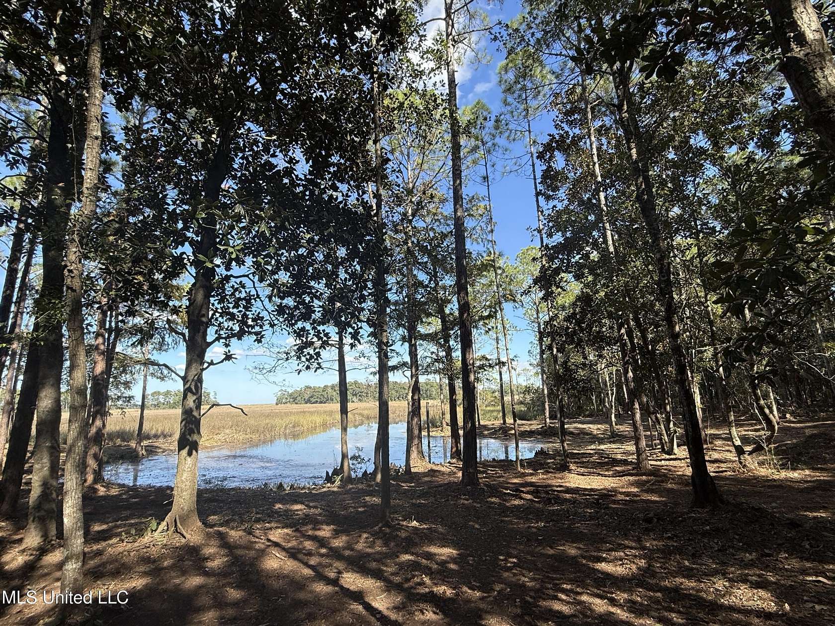 80 Acres of Mixed-Use Land for Sale in Gautier, Mississippi
