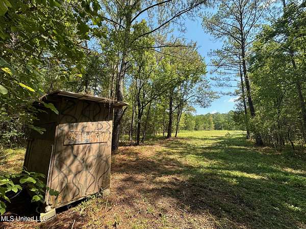 129 Acres of Recreational Land for Sale in Pulaski, Mississippi