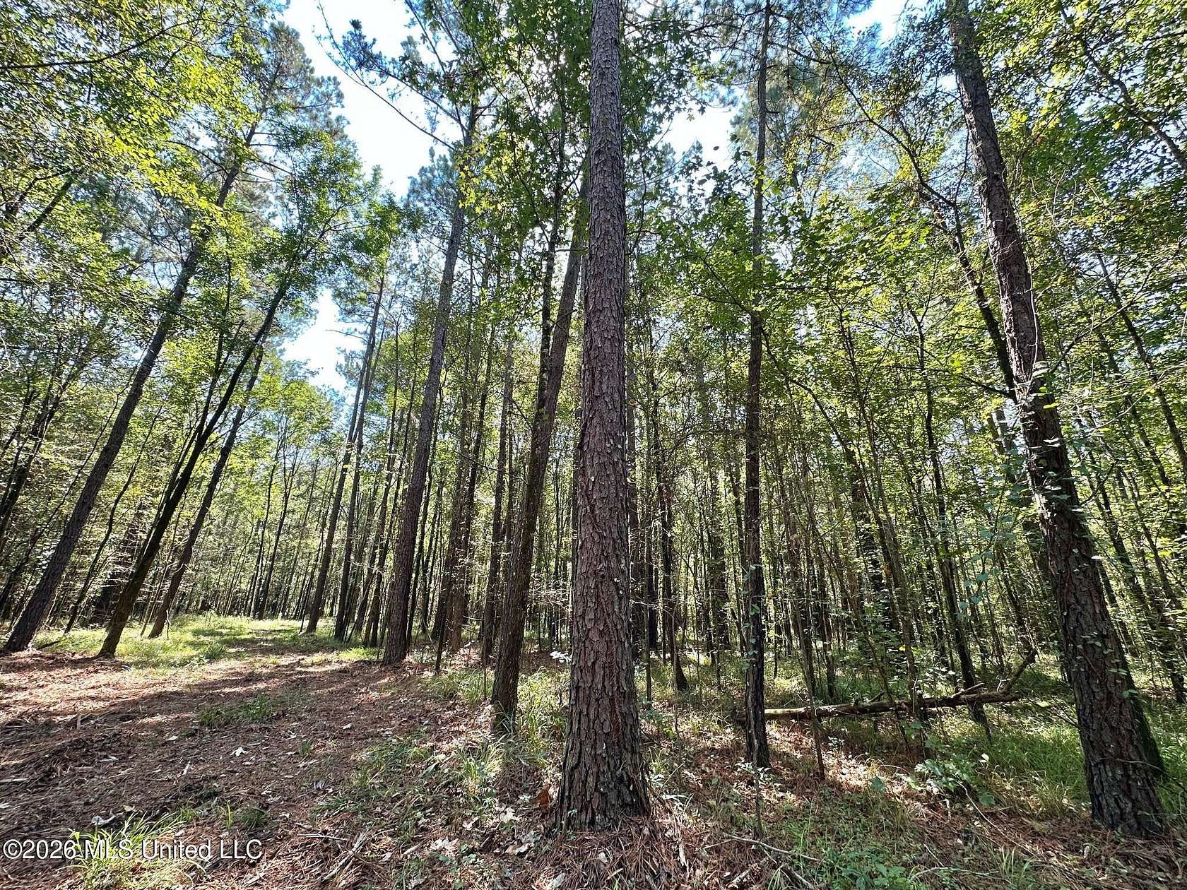 42 Acres of Recreational Land for Sale in Pulaski, Mississippi
