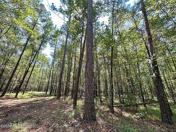 42 Acres of Recreational Land for Sale in Pulaski, Mississippi