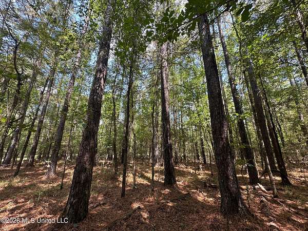 50 Acres of Recreational Land for Sale in Pulaski, Mississippi