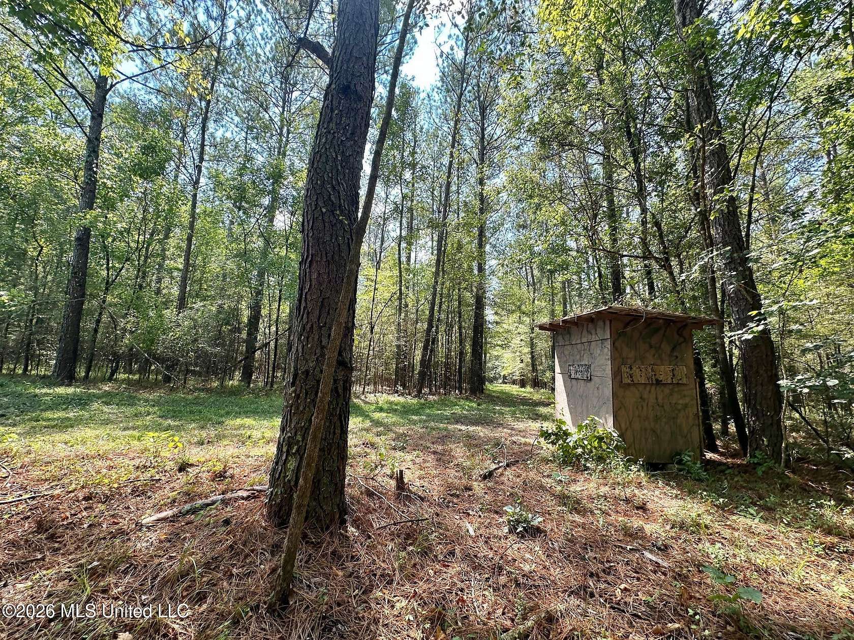 87 Acres of Recreational Land for Sale in Pulaski, Mississippi