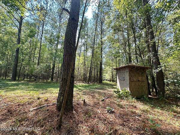87 Acres of Recreational Land for Sale in Pulaski, Mississippi