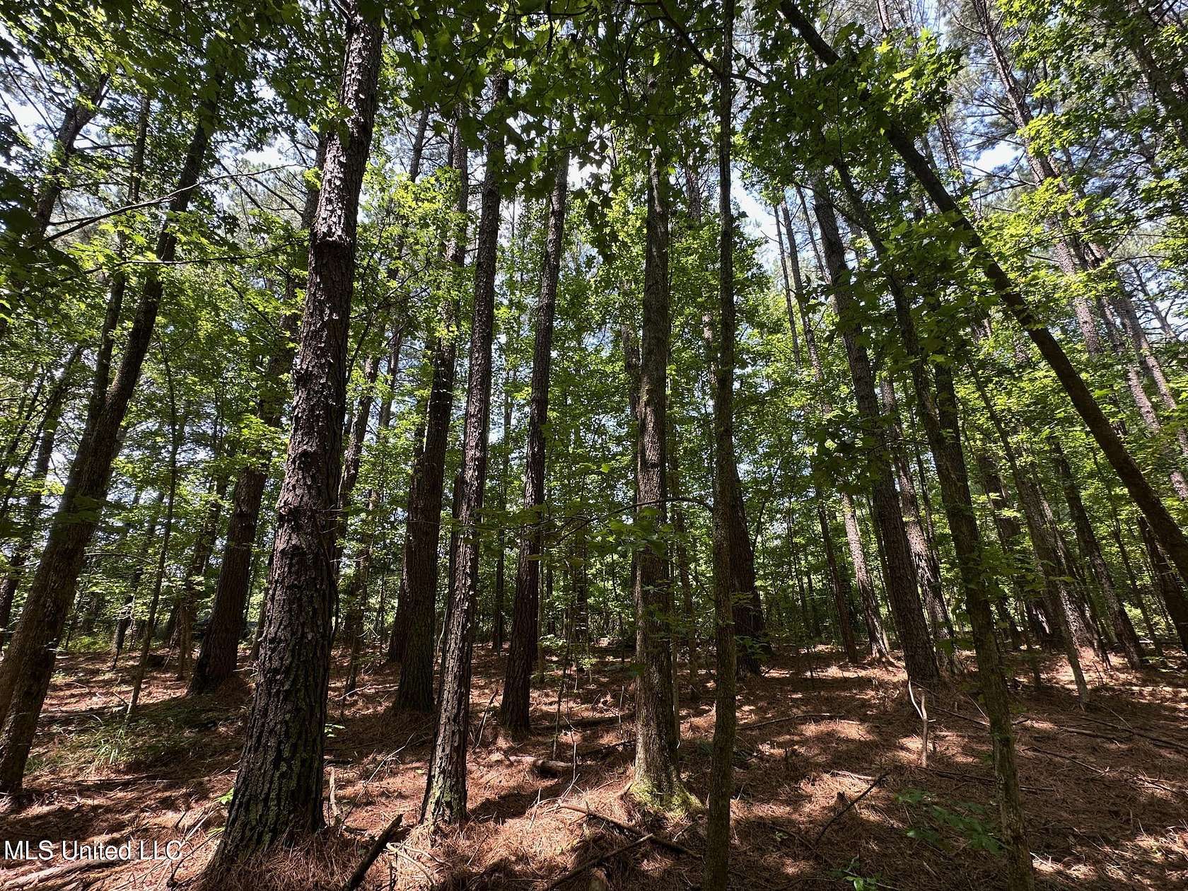18 Acres of Recreational & Residential Land for Sale in Philadelphia, Mississippi