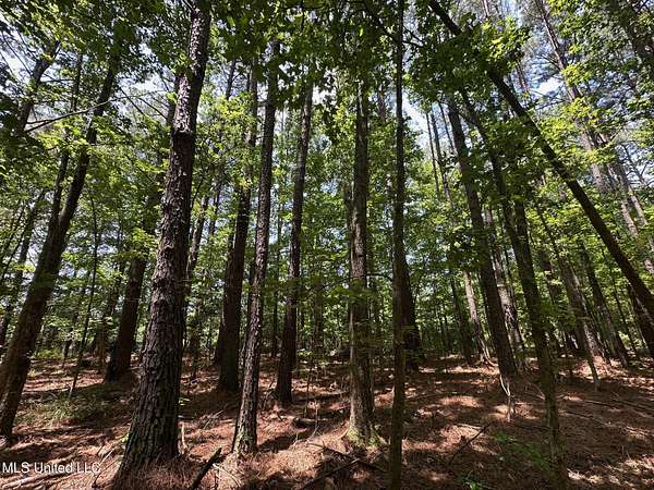 18 Acres of Recreational & Residential Land for Sale in Philadelphia, Mississippi
