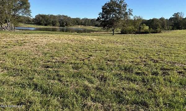 5 Acres of Residential Land for Sale in Jackson, Mississippi