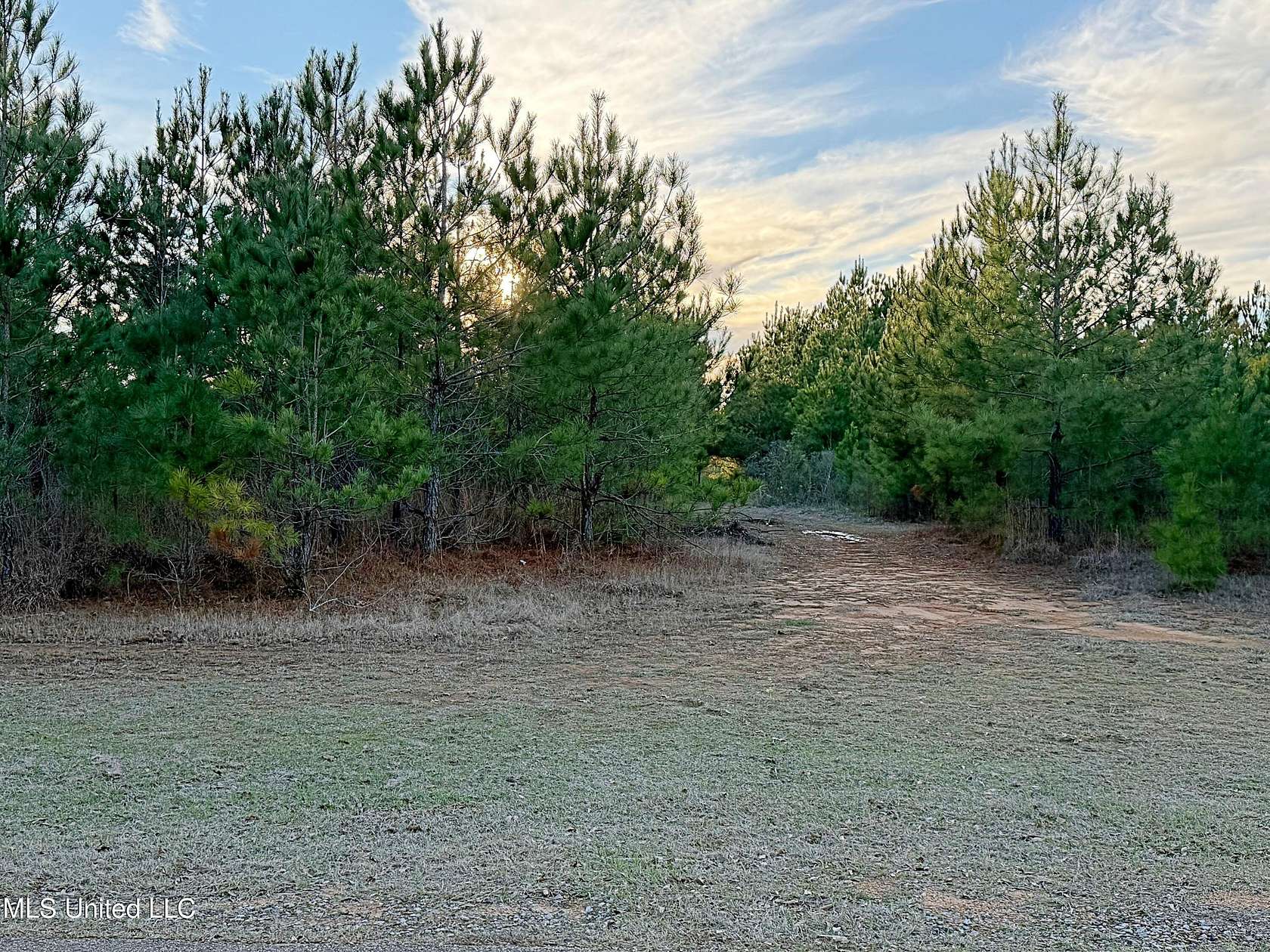 4.4 Acres of Residential Land for Sale in Carthage, Mississippi