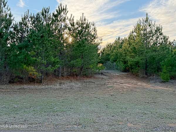 4.4 Acres of Residential Land for Sale in Carthage, Mississippi