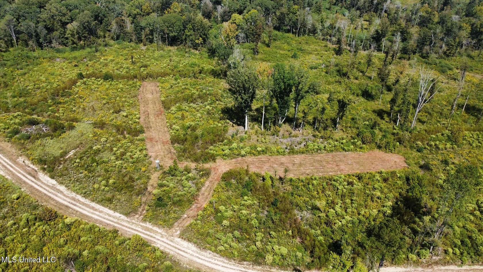 272 Acres of Recreational Land for Sale in Walnut Grove, Mississippi