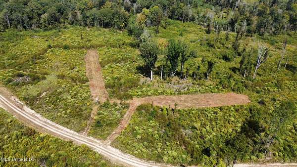 272 Acres of Recreational Land for Sale in Walnut Grove, Mississippi