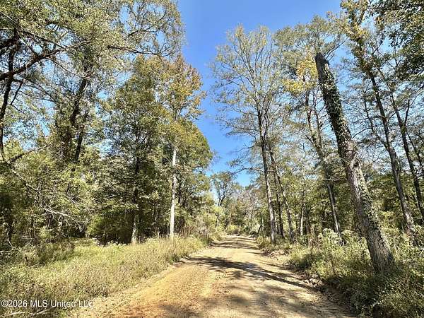 505 Acres of Recreational Land for Sale in Carthage, Mississippi