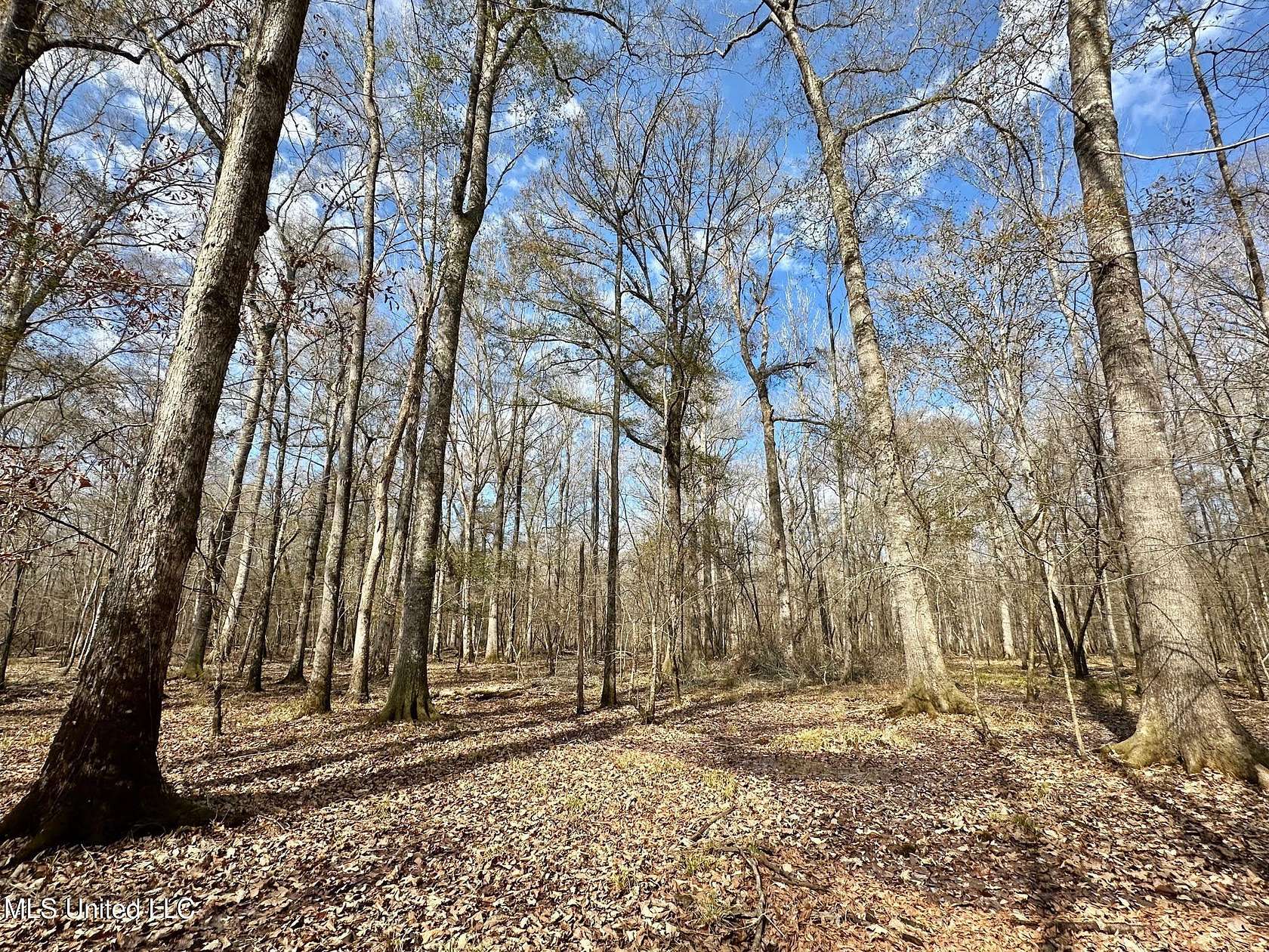 438 Acres of Recreational Land for Sale in Carthage, Mississippi