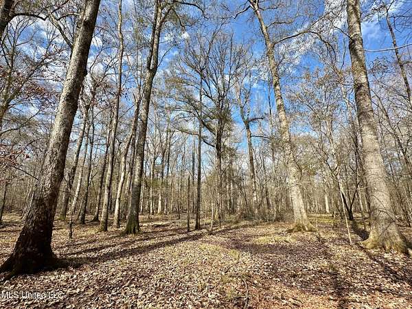 438 Acres of Recreational Land for Sale in Carthage, Mississippi