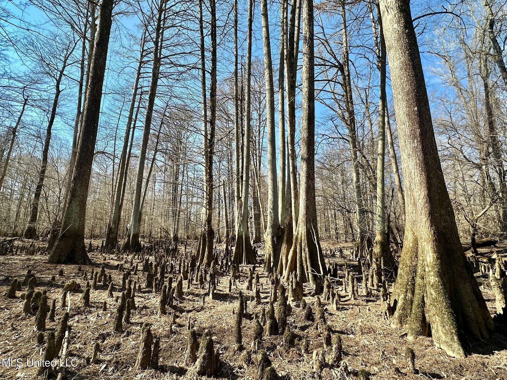 269 Acres of Recreational Land for Sale in Carthage, Mississippi