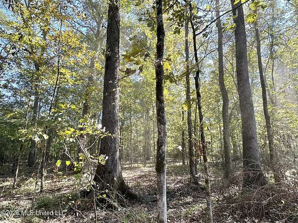 239 Acres of Recreational Land for Sale in Carthage, Mississippi