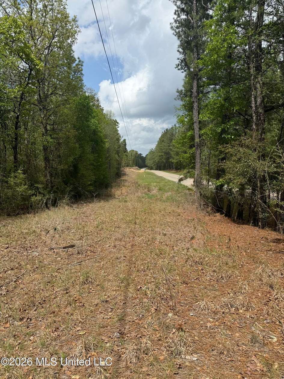 43 Acres of Recreational & Residential Land for Sale in Hattiesburg, Mississippi