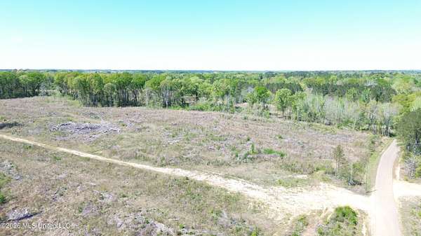 18 Acres of Agricultural Land for Sale in Forest, Mississippi