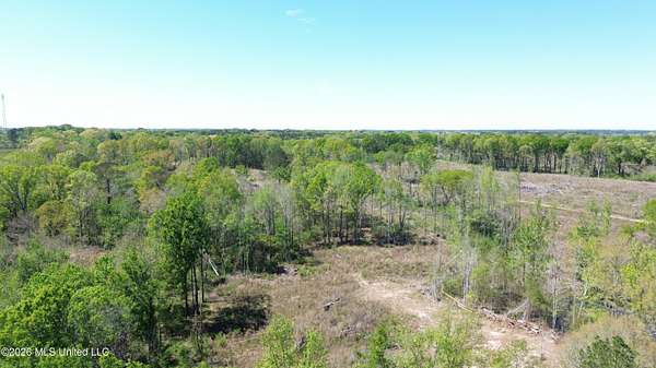5 Acres of Residential Land for Sale in Forest, Mississippi