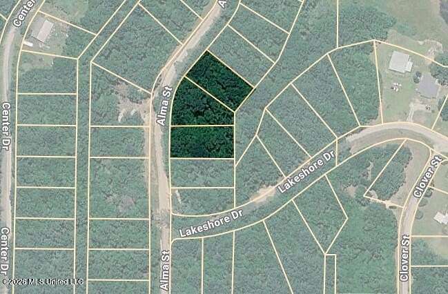 1 Acre of Land for Sale in Lumberton, Mississippi