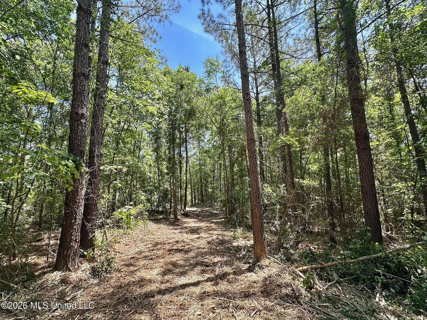 7 Acres of Residential Land for Sale in Magee, Mississippi
