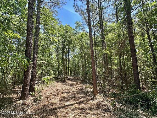 7 Acres of Residential Land for Sale in Magee, Mississippi
