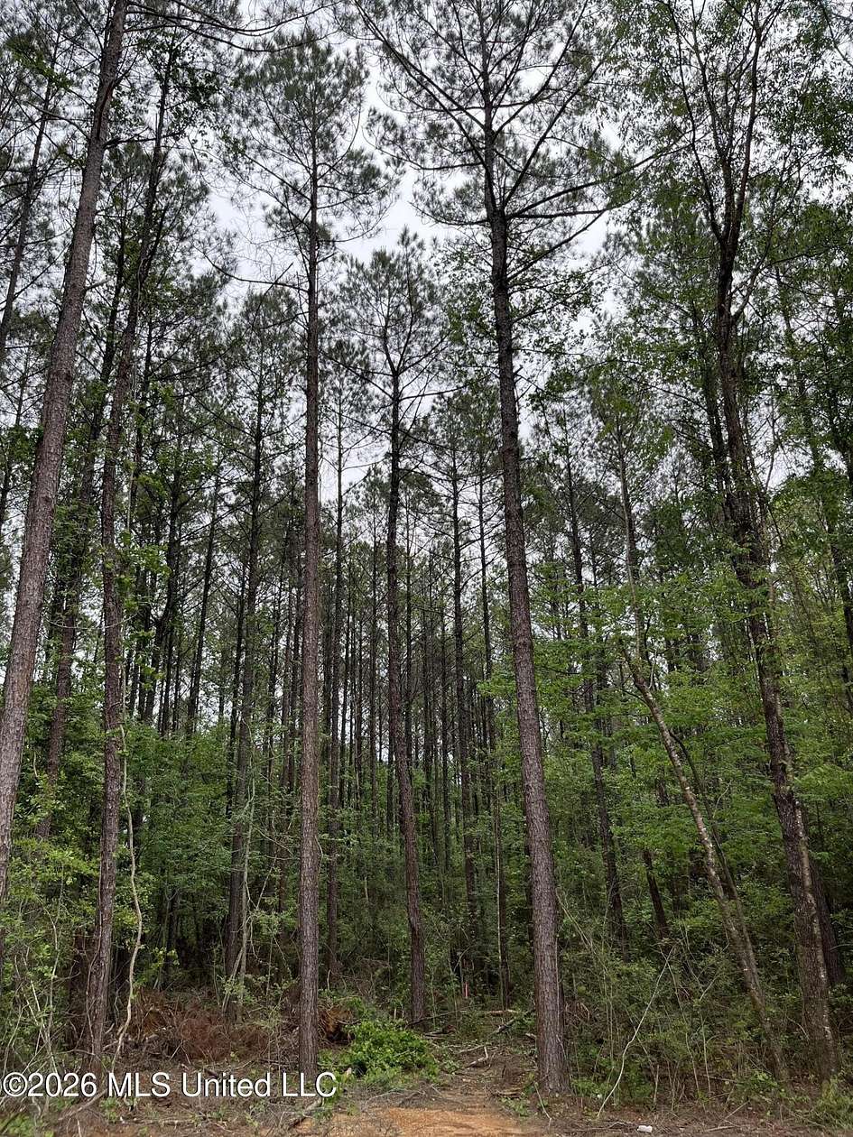 5.56 Acres of Land for Sale in Brooklyn, Mississippi