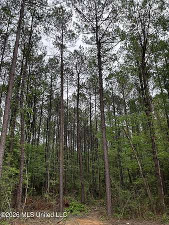 5.56 Acres of Land for Sale in Brooklyn, Mississippi
