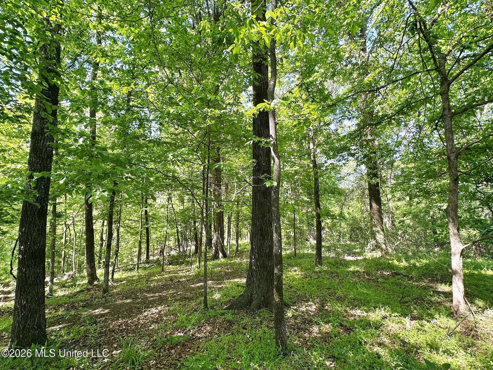 11 Acres of Recreational & Residential Land for Sale in Carrollton, Mississippi