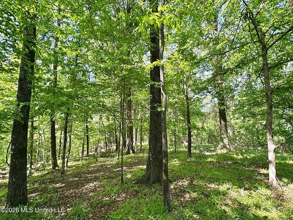 11 Acres of Recreational & Residential Land for Sale in Carrollton, Mississippi